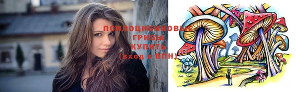 шишки Балабаново