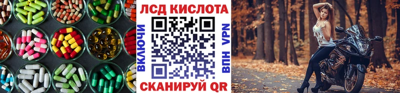 закладка  Губкин  LSD-25 экстази кислота 